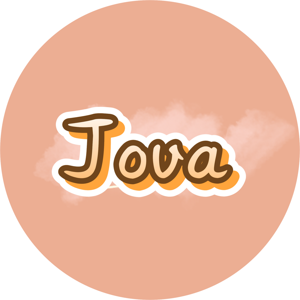 toy